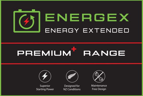 Energex 8v 170Ah Deep Cycle battery [Golf Cart Battery]