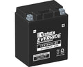 Century Motorbike battery 12v 12Ah YTX14AHL-BS